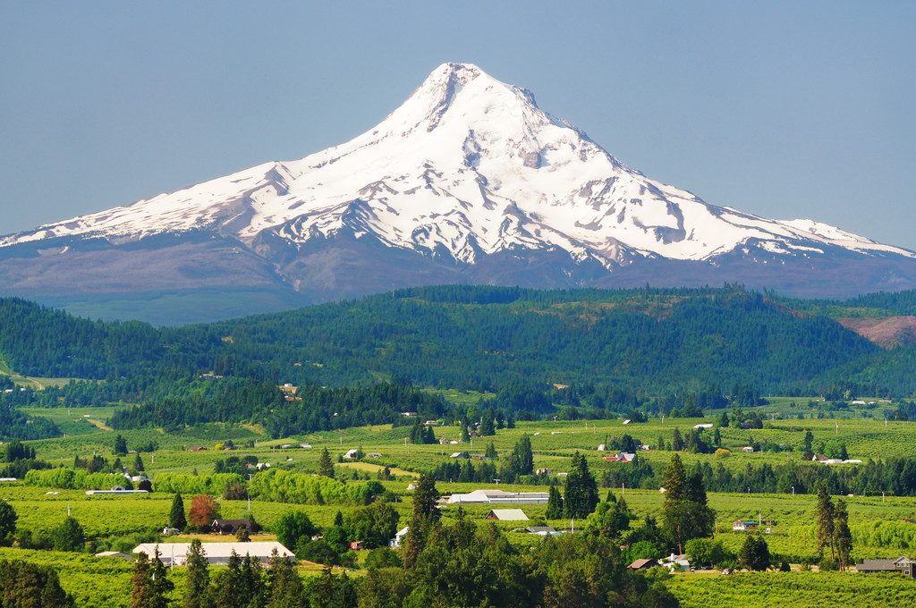 A snow-capped Oregon peak rising over farmland and orchards